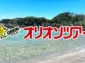 オリオンツアー、小笠原・伊豆諸島旅行サイトリニューアル！